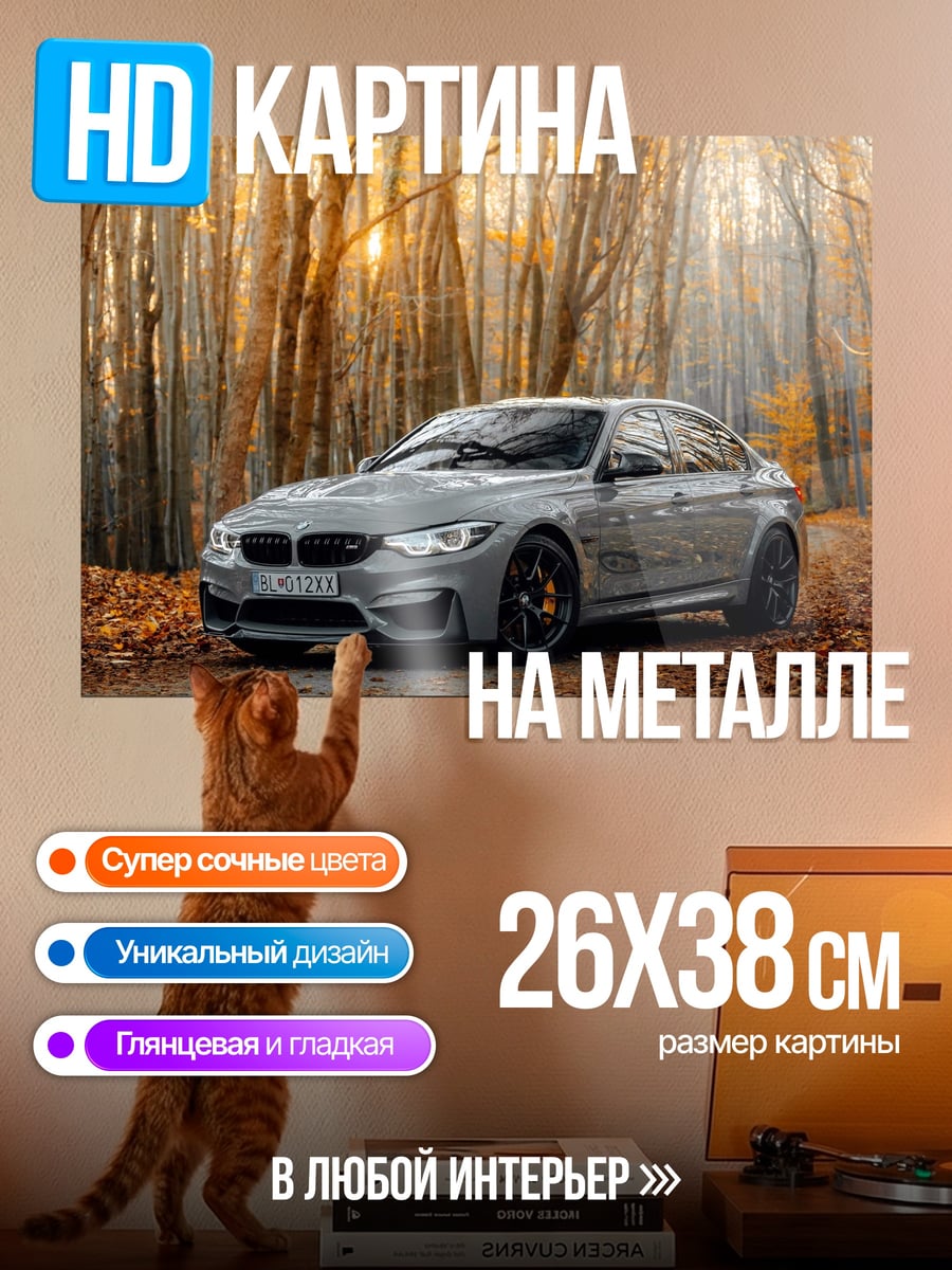 Картина на металле BMW M4 Осень