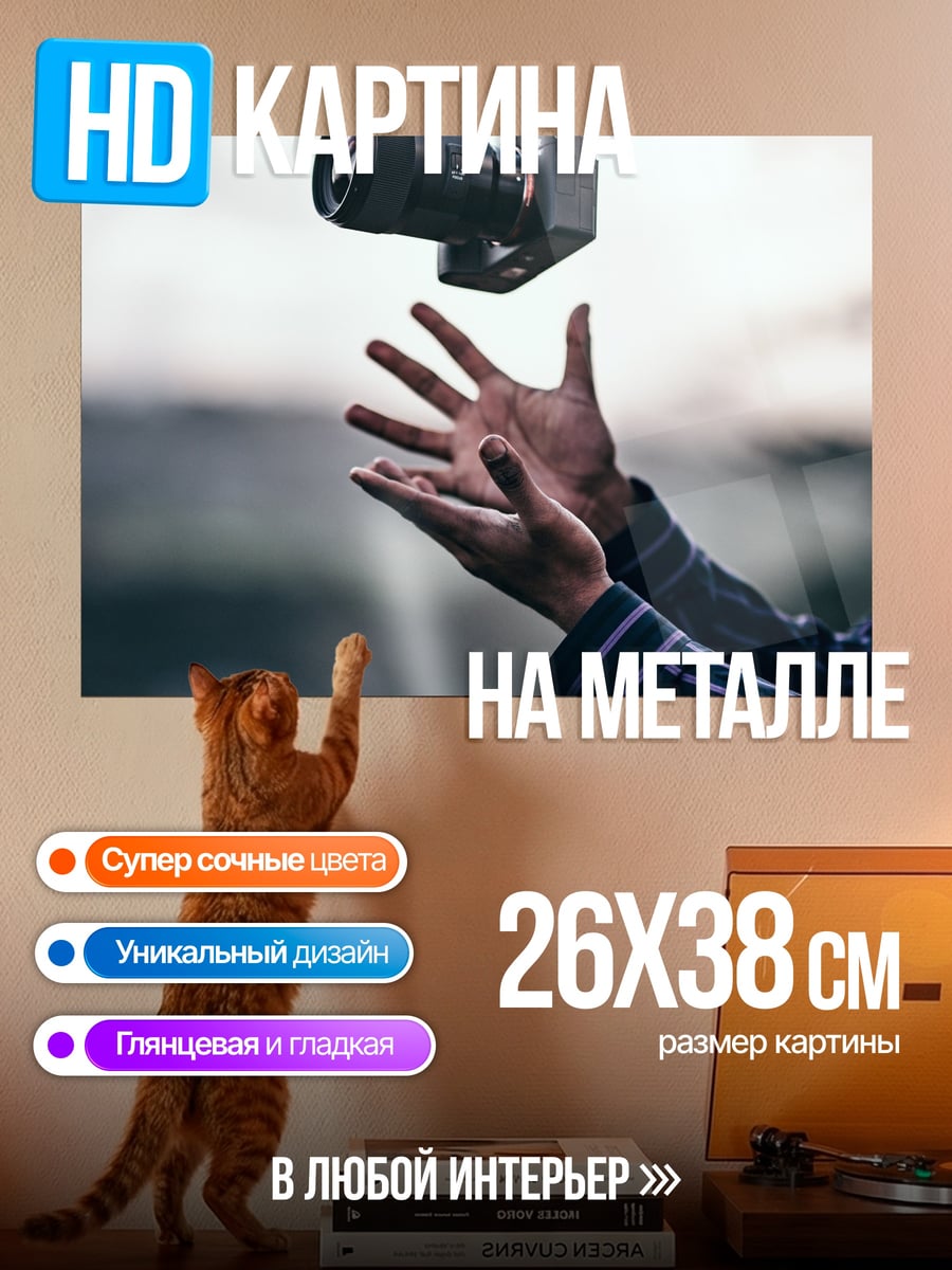 Картина на металле Камера в полете