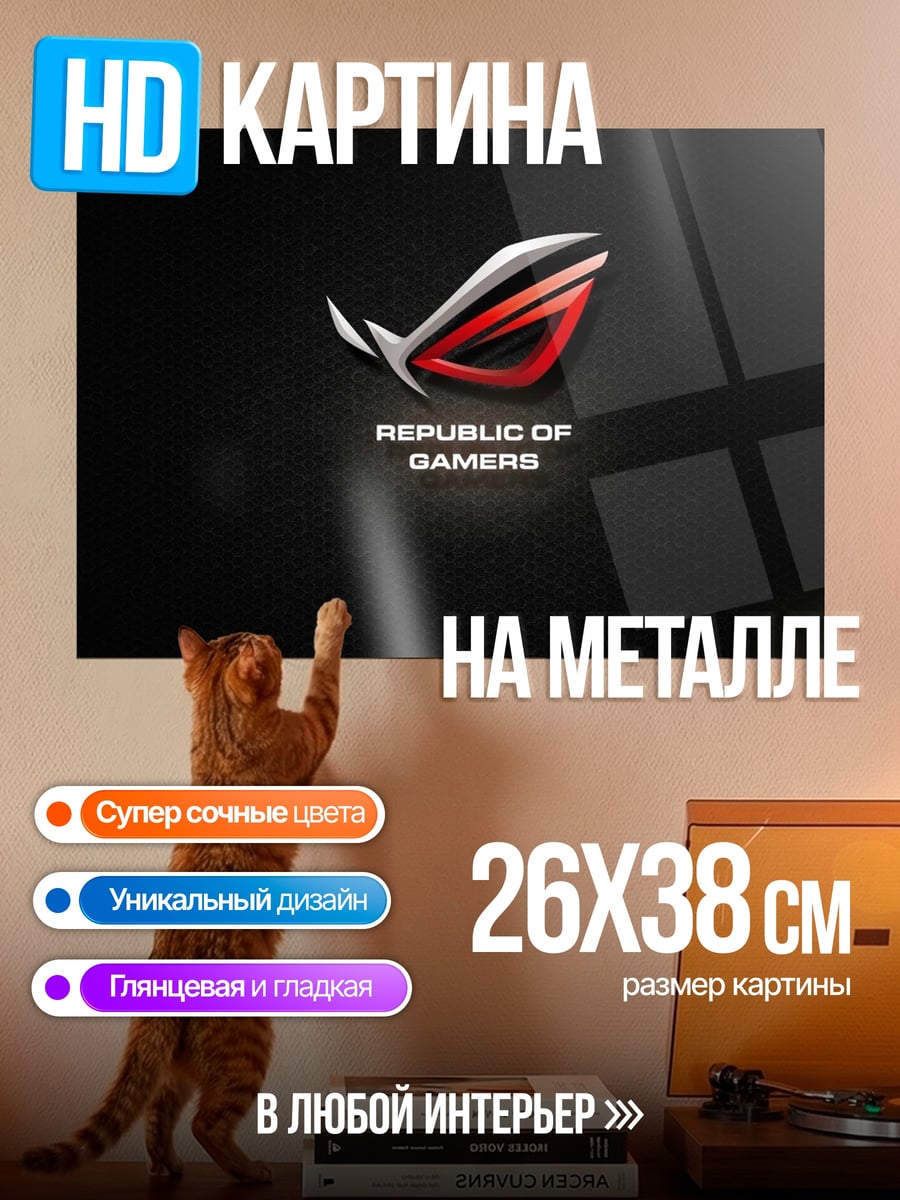 Картина на металле Republic of Gamers