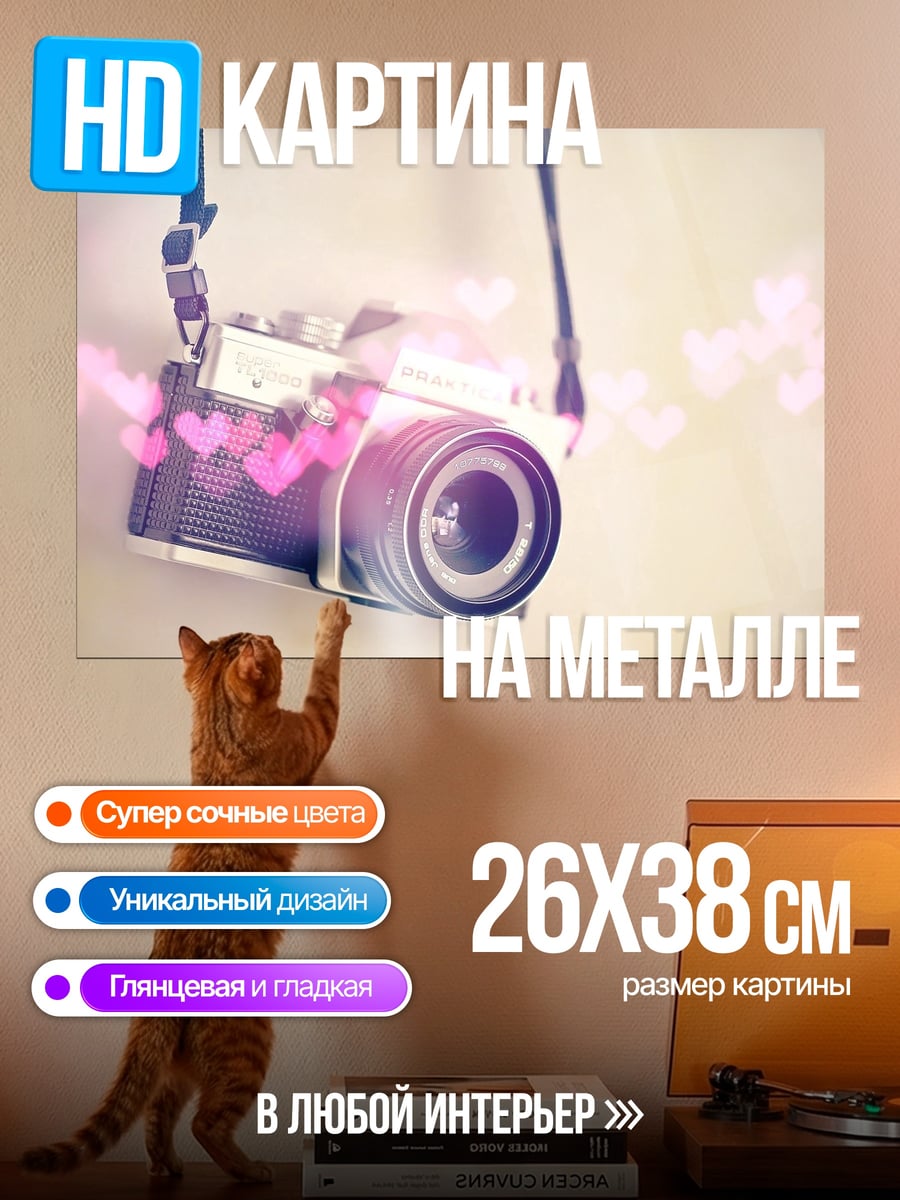 Картина на металле Камера с сердечками