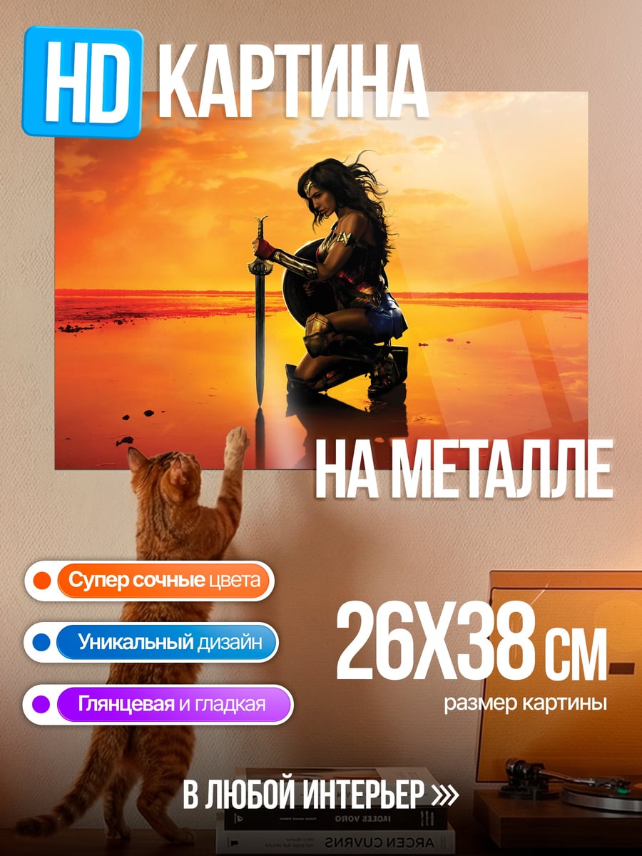 Картина на металле Чудо Женщина на закате