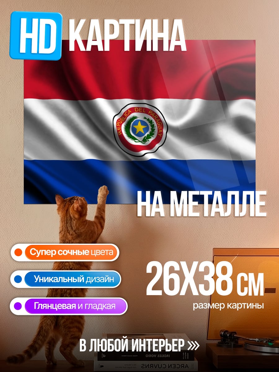 Картина на металле Флаг Парагвая