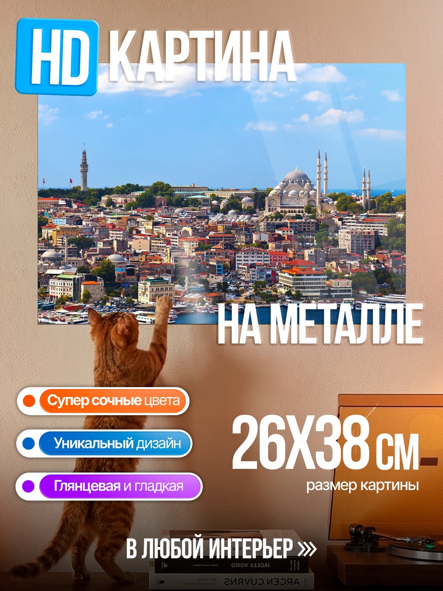 Картина на металле Стамбул вид