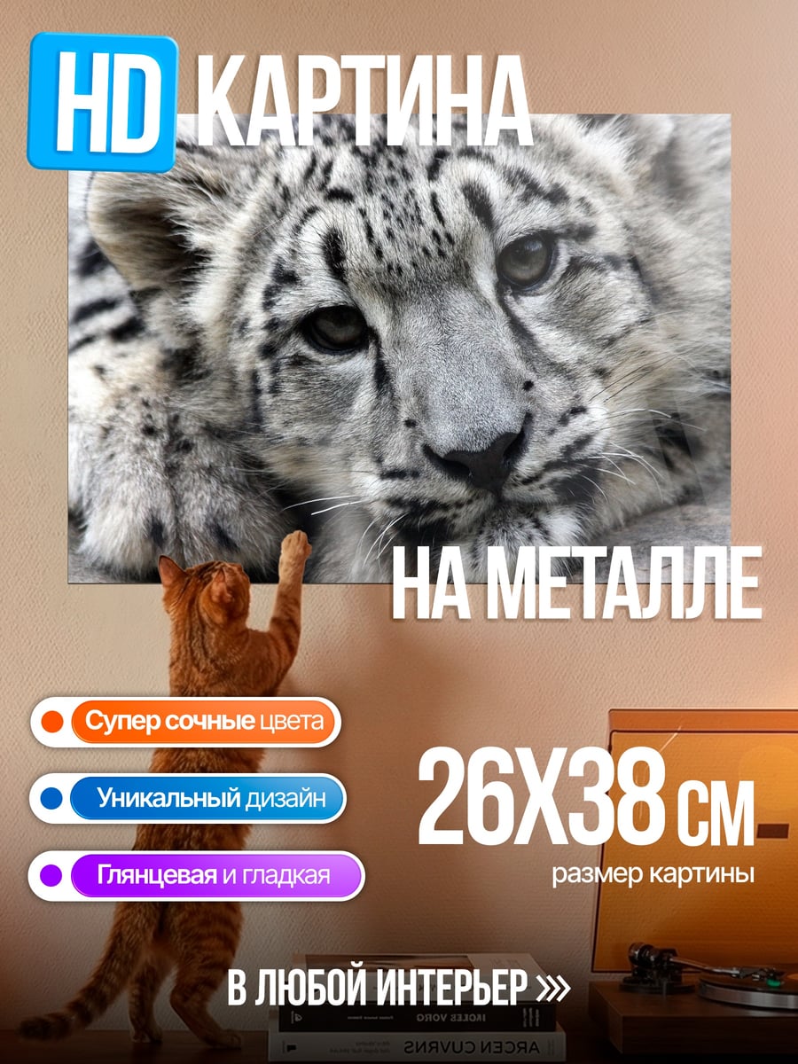 Картина на металле Снежный барс