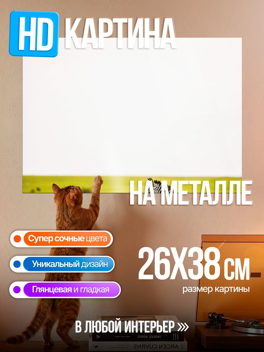 Картина на металле зебра в поле