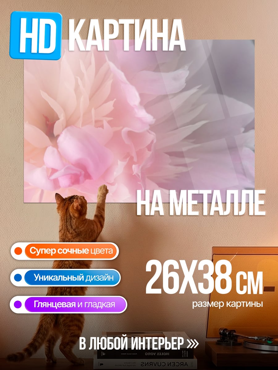 Картина на металле нежный розовый пион