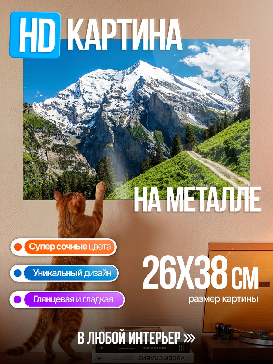 Картина на металле Альпийская дорога летом