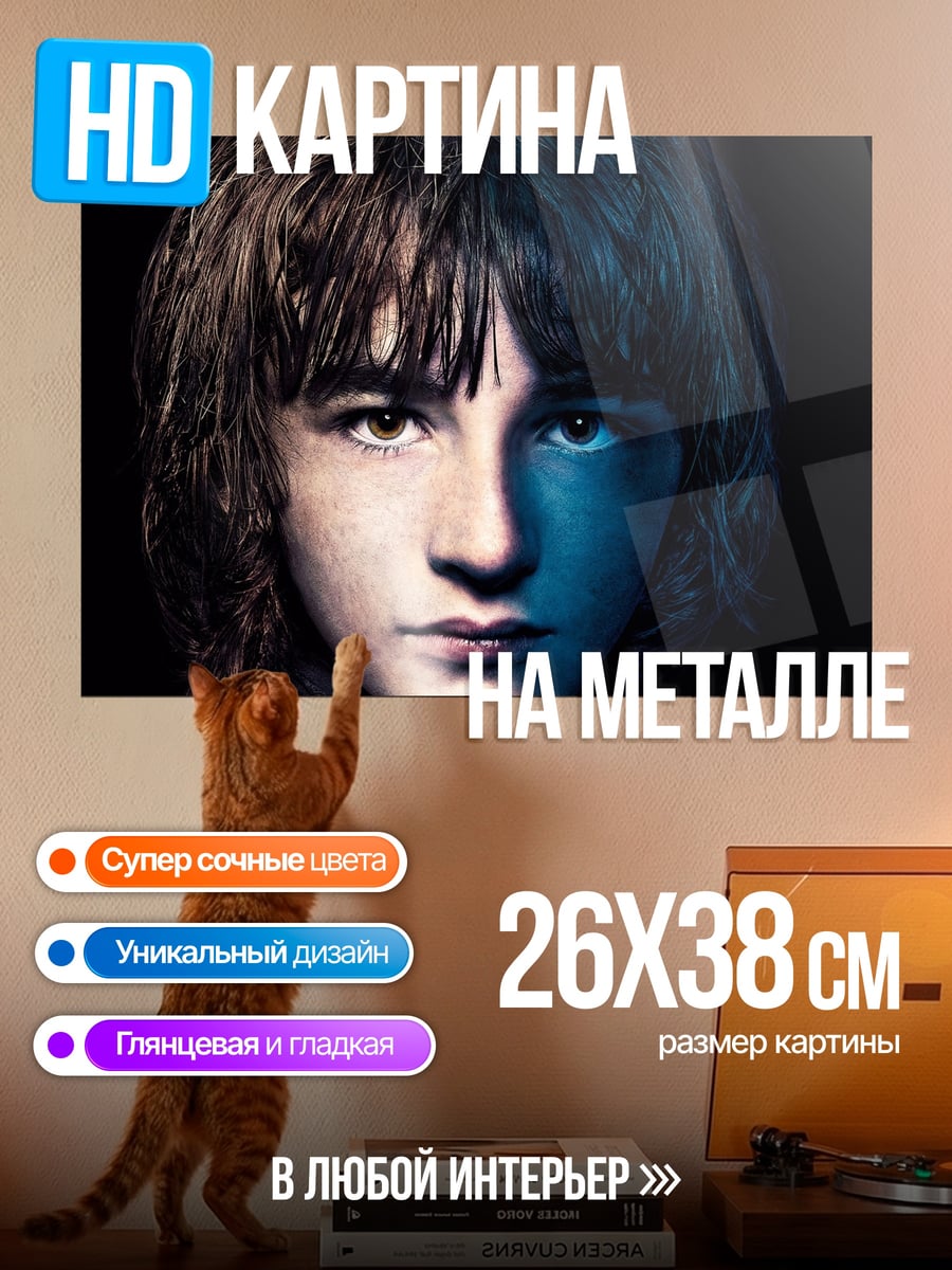 Картина на металле Бран Старк
