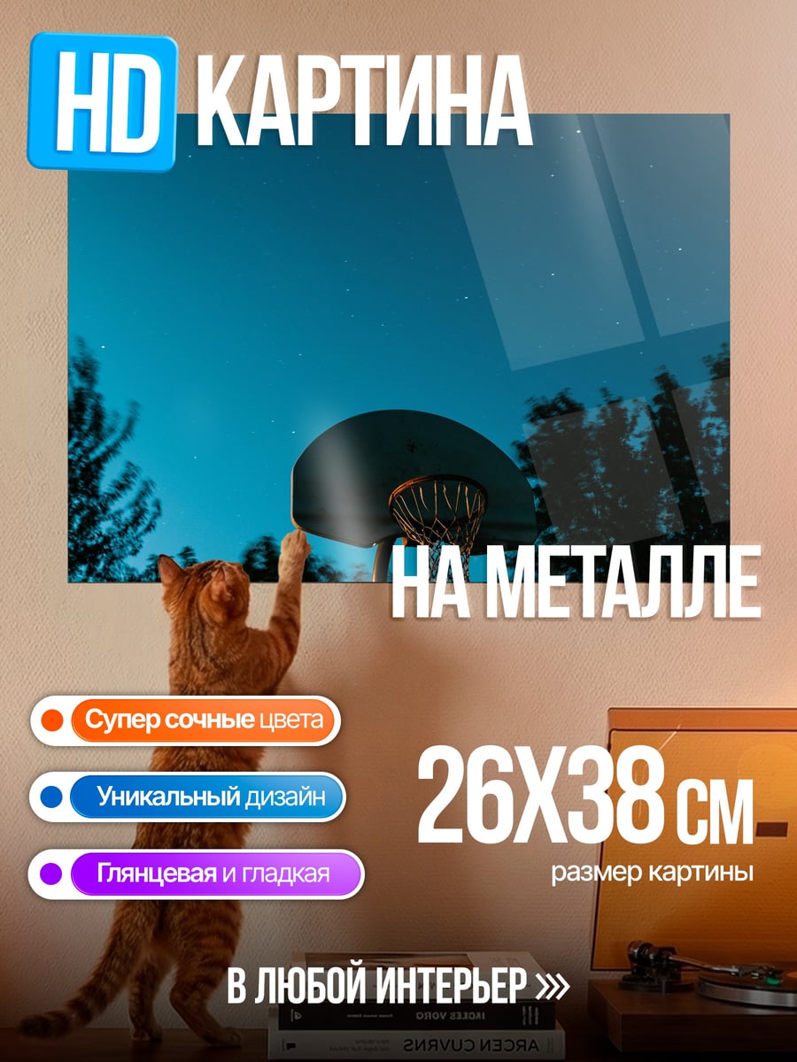 Картина на металле Баскетбольное кольцо ночью