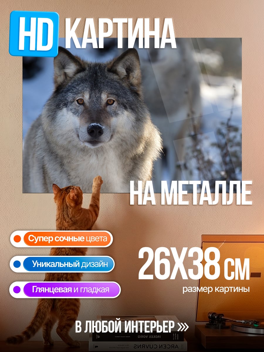 Картина на металле Волки в снегу