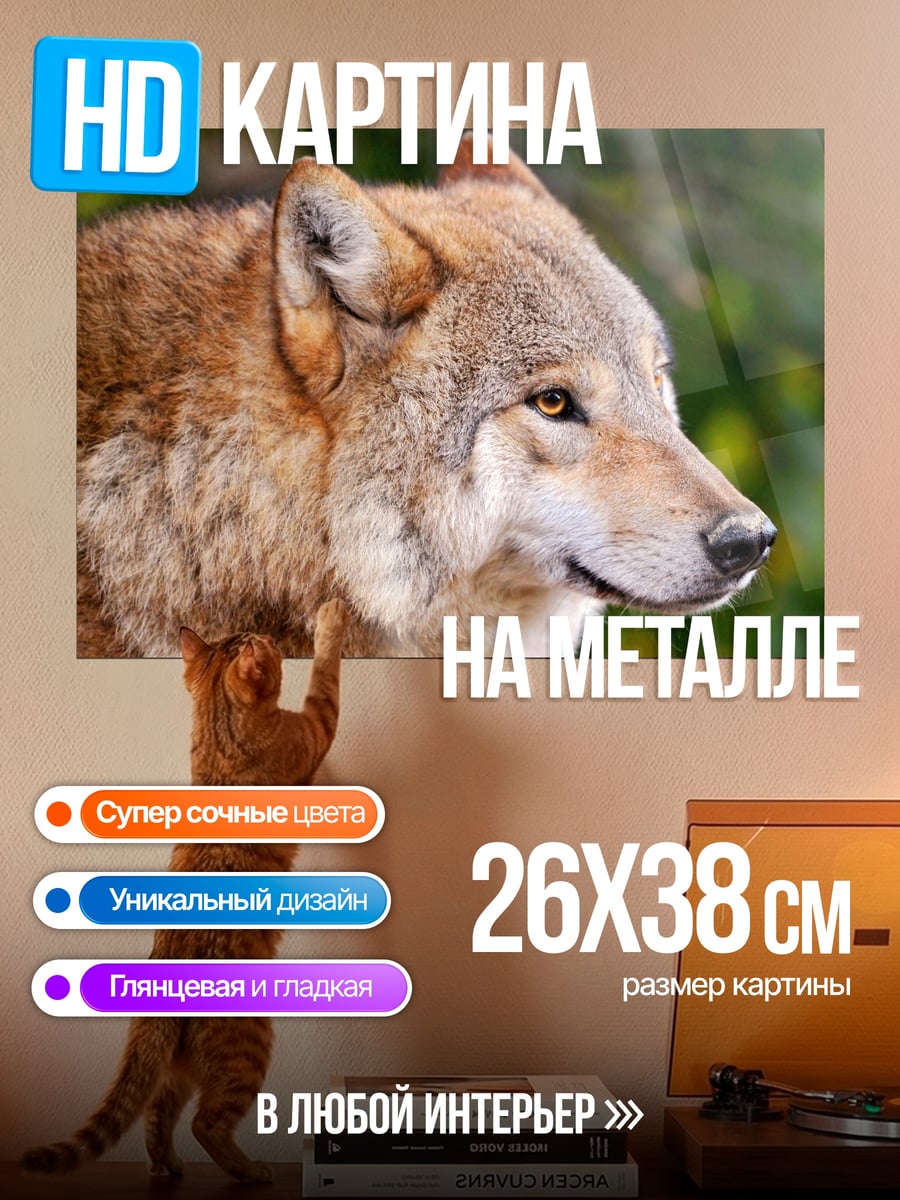 Картина на металле Портрет волка