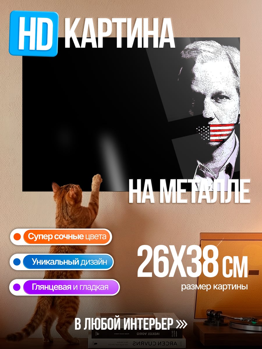 Картина на металле Джулиан Ассанж