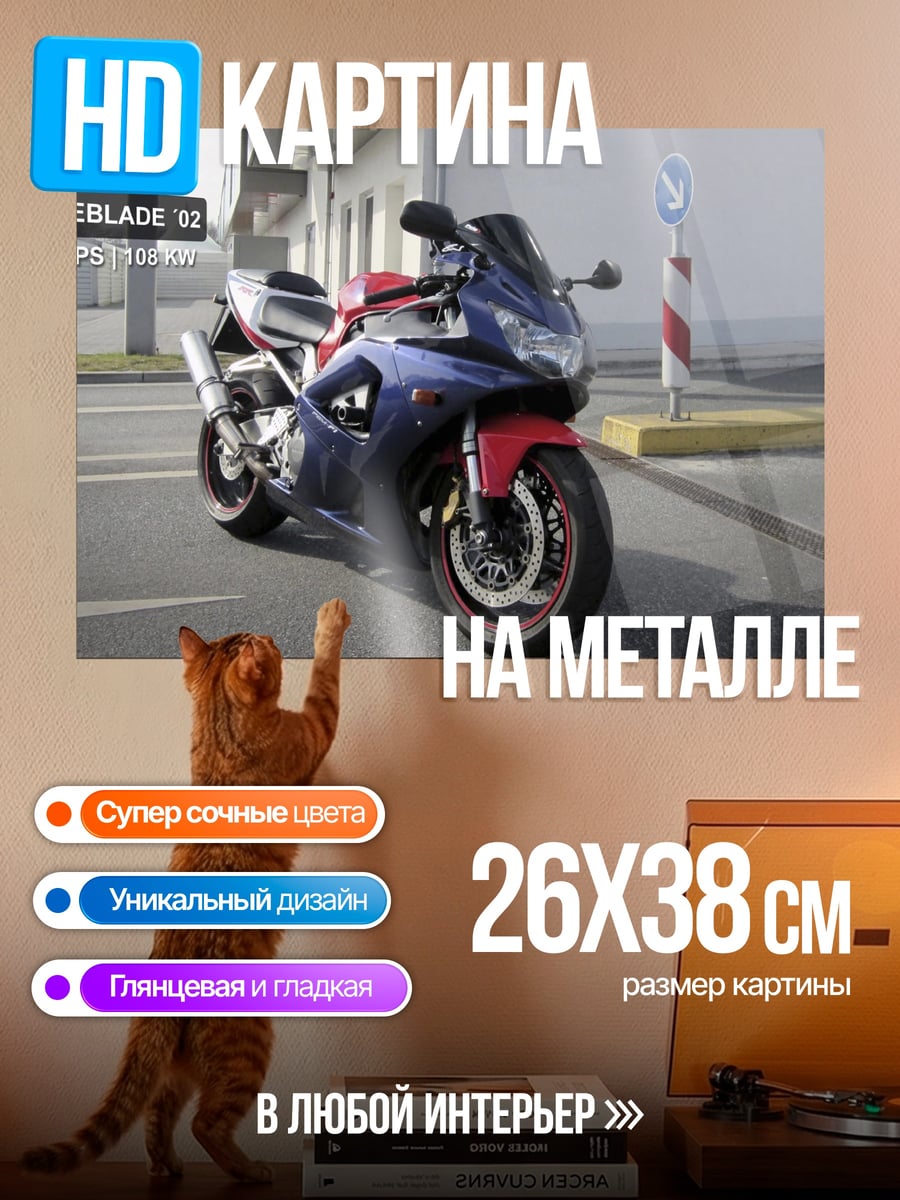 Картина на металле Спортивный мотоцикл Fireblade