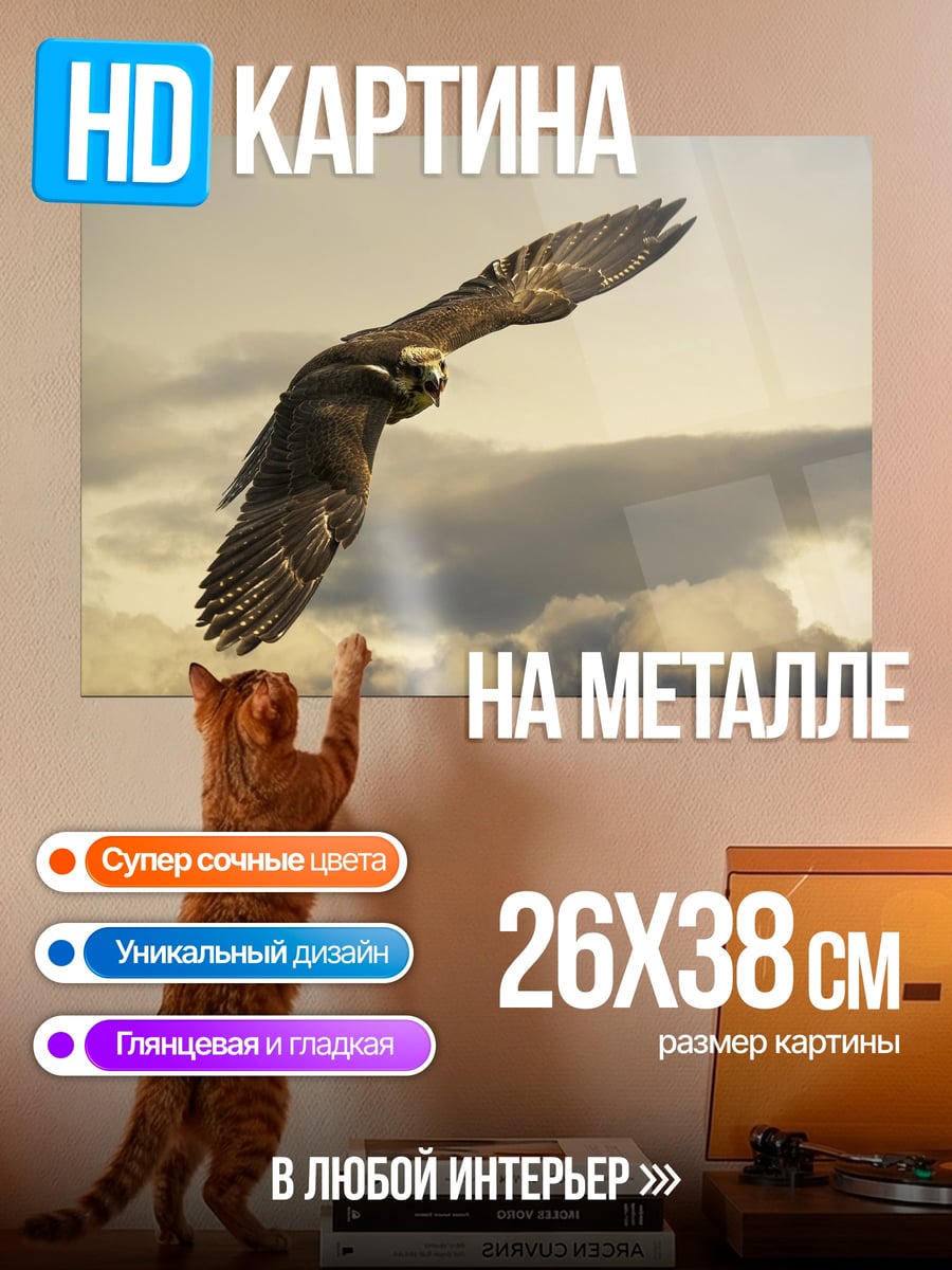 Картина на металле Орел в небе