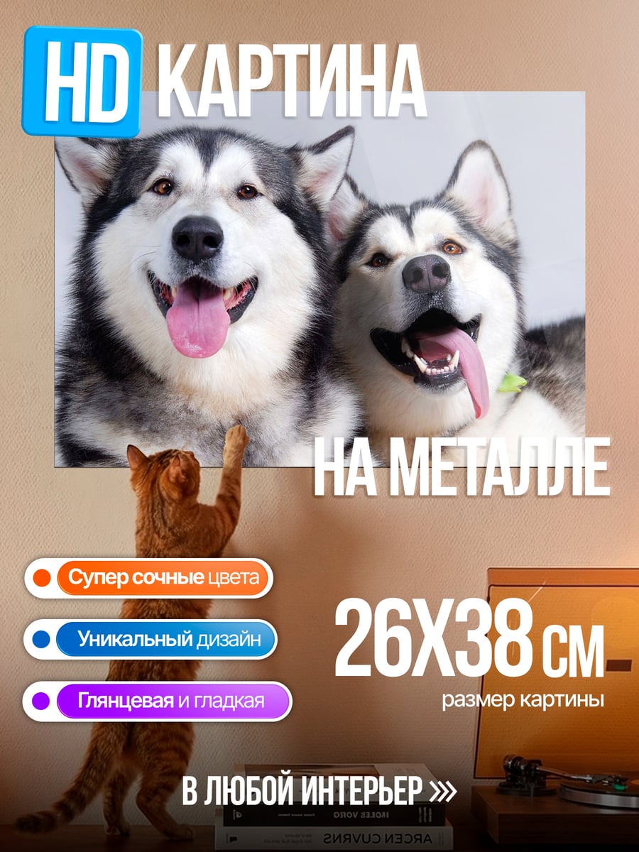 Картина на металле две счастливые собаки