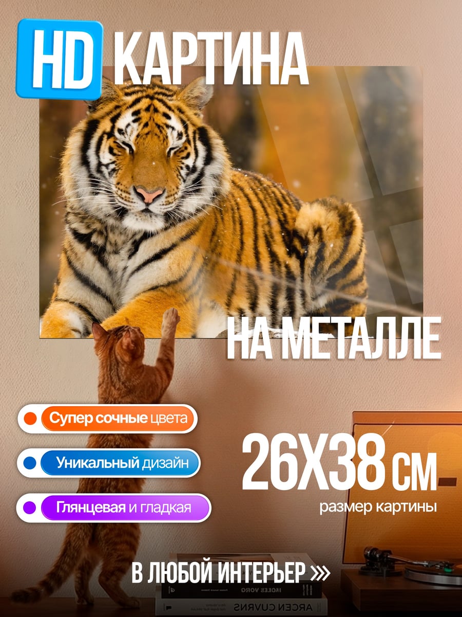 Картина на металле Лежащий тигр зимой