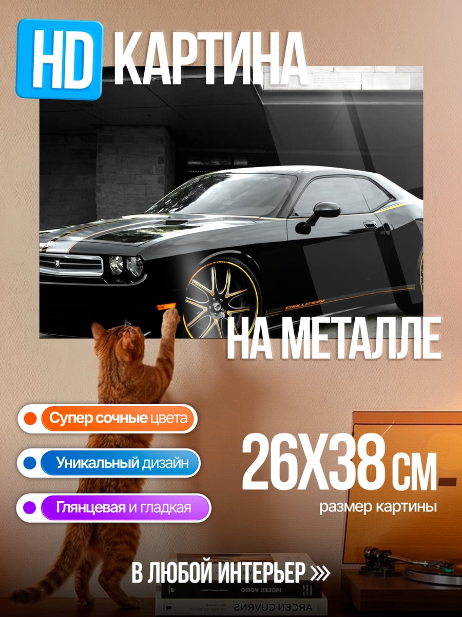 Картина на металле Черный маслкар