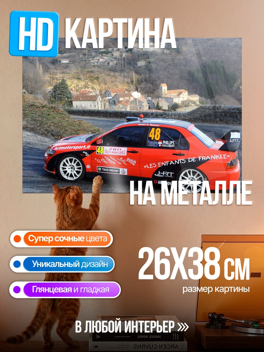 Картина на металле Ралли машина