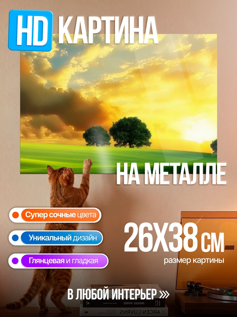 Картина на металле Закатное поле деревья