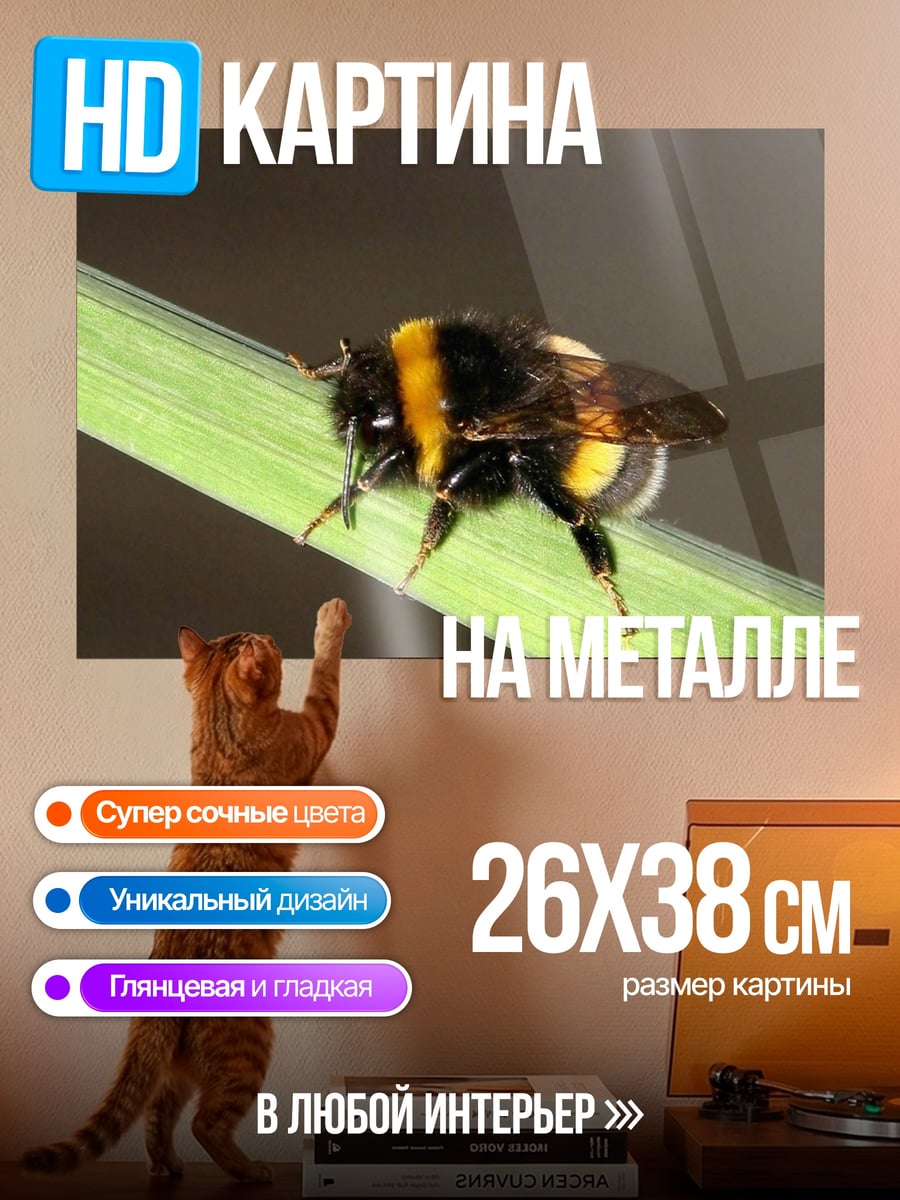Картина на металле Шмель на травинке