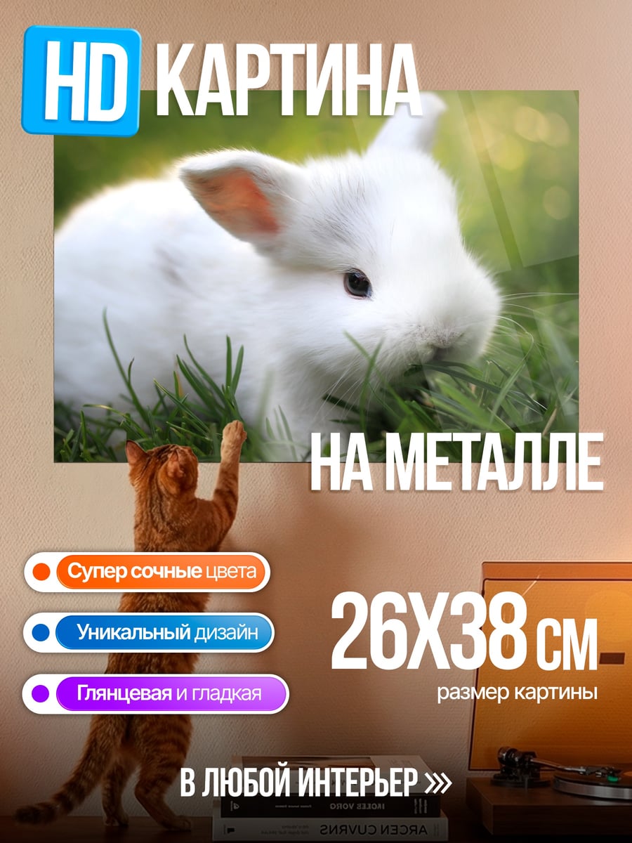 Картина на металле Белый кролик в траве