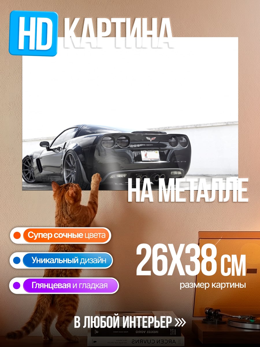 Картина на металле Черный спорткар
