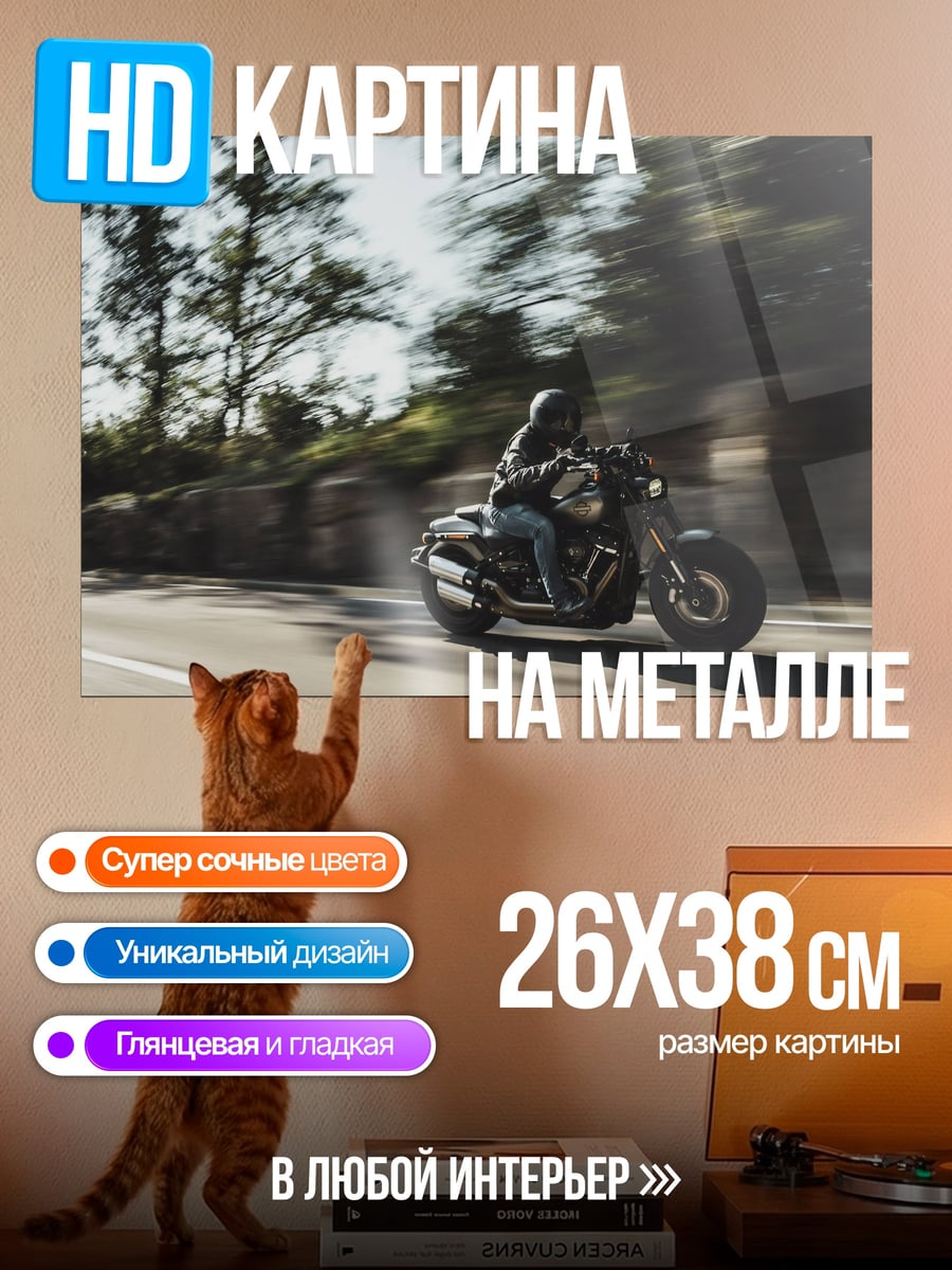 Картина на металле Мотоциклист в движении