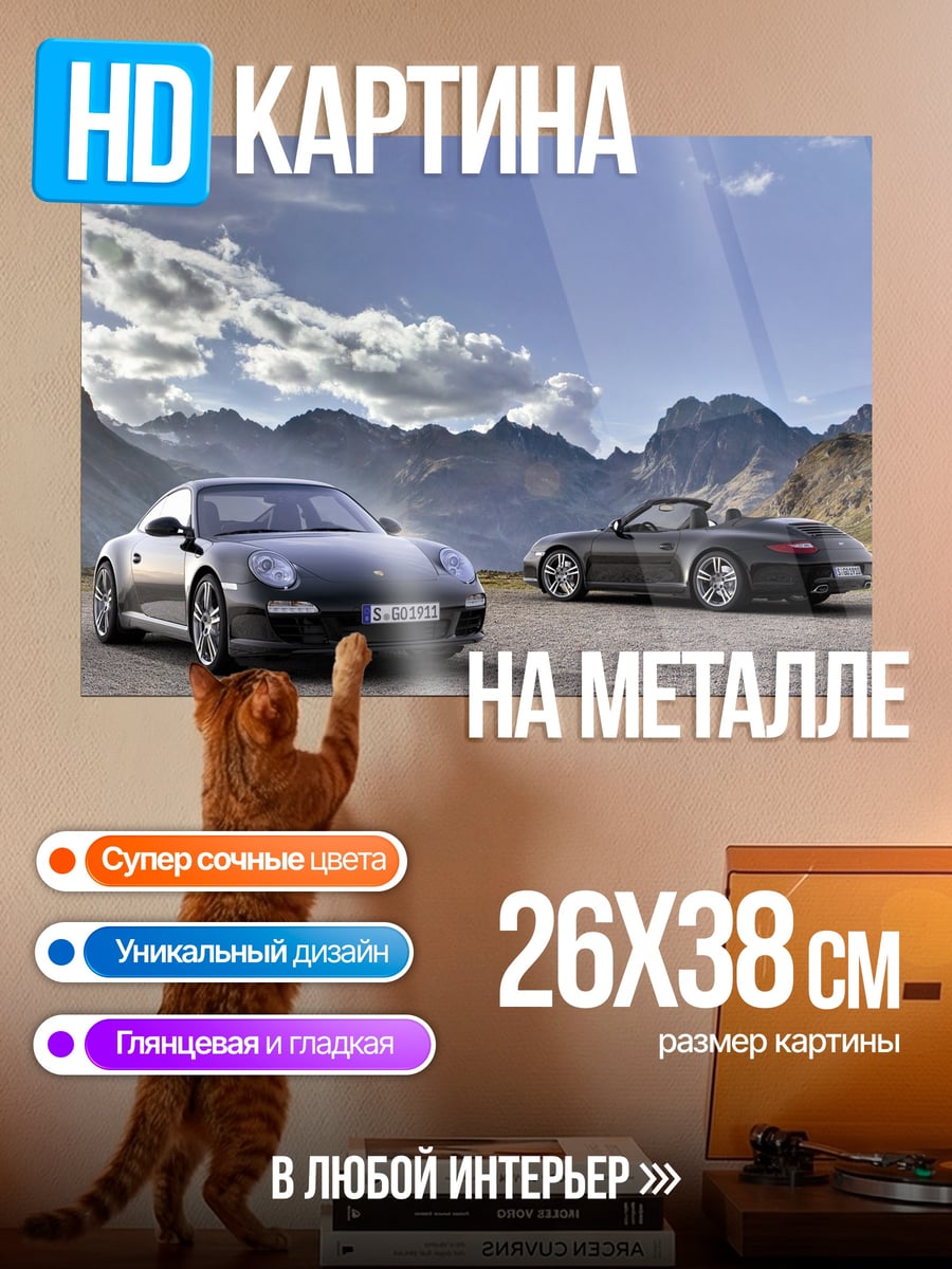 Картина на металле Порше в горах