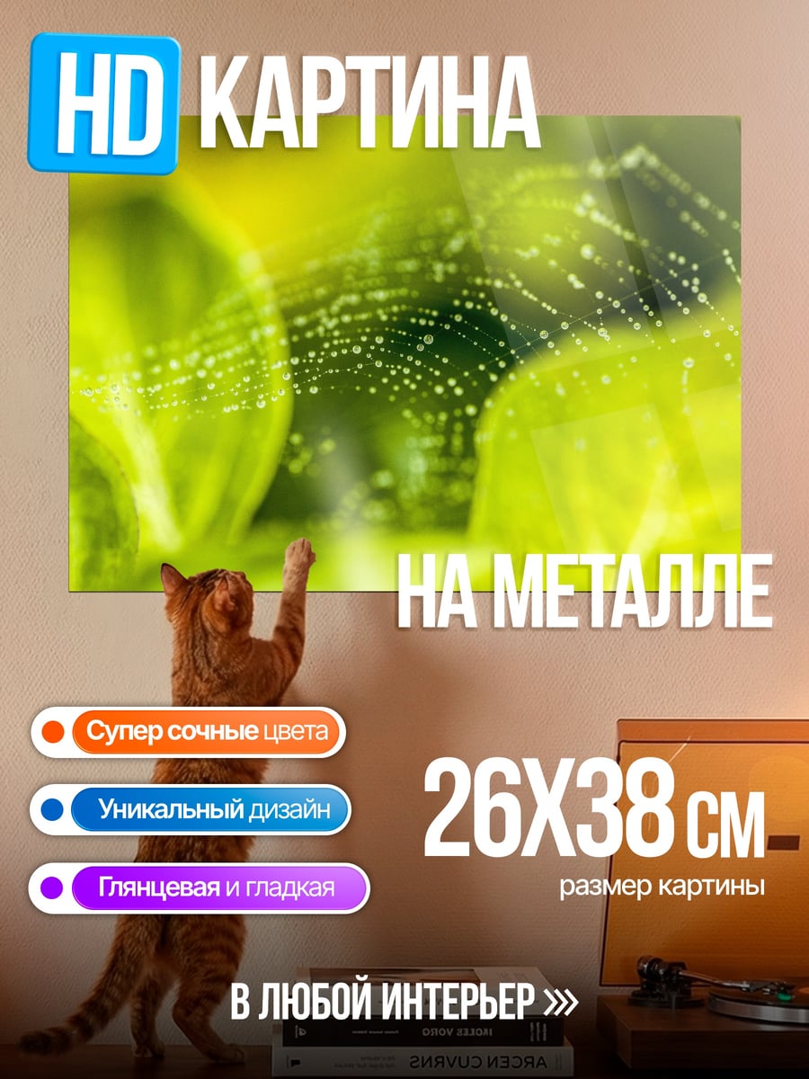 Картина на металле Паутина с росой