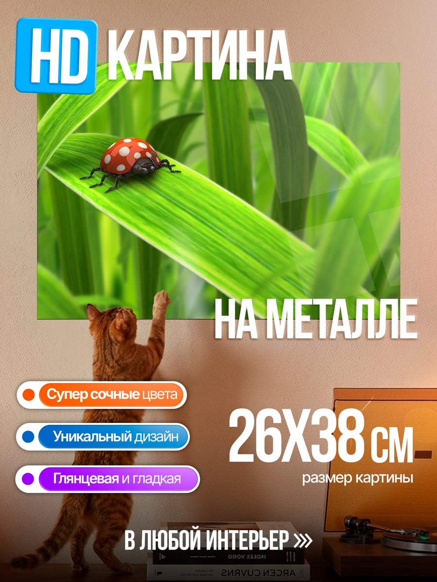 Картина на металле божья коровка на траве