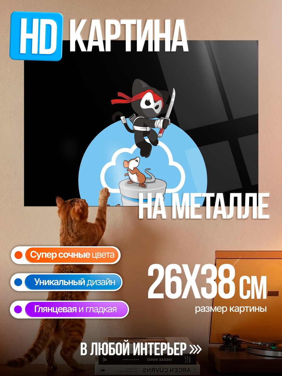 Картина на металле Кот ниндзя в облаках