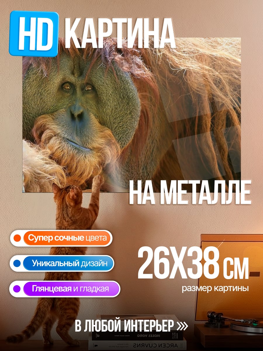 Картина на металле Орангутан в лесу