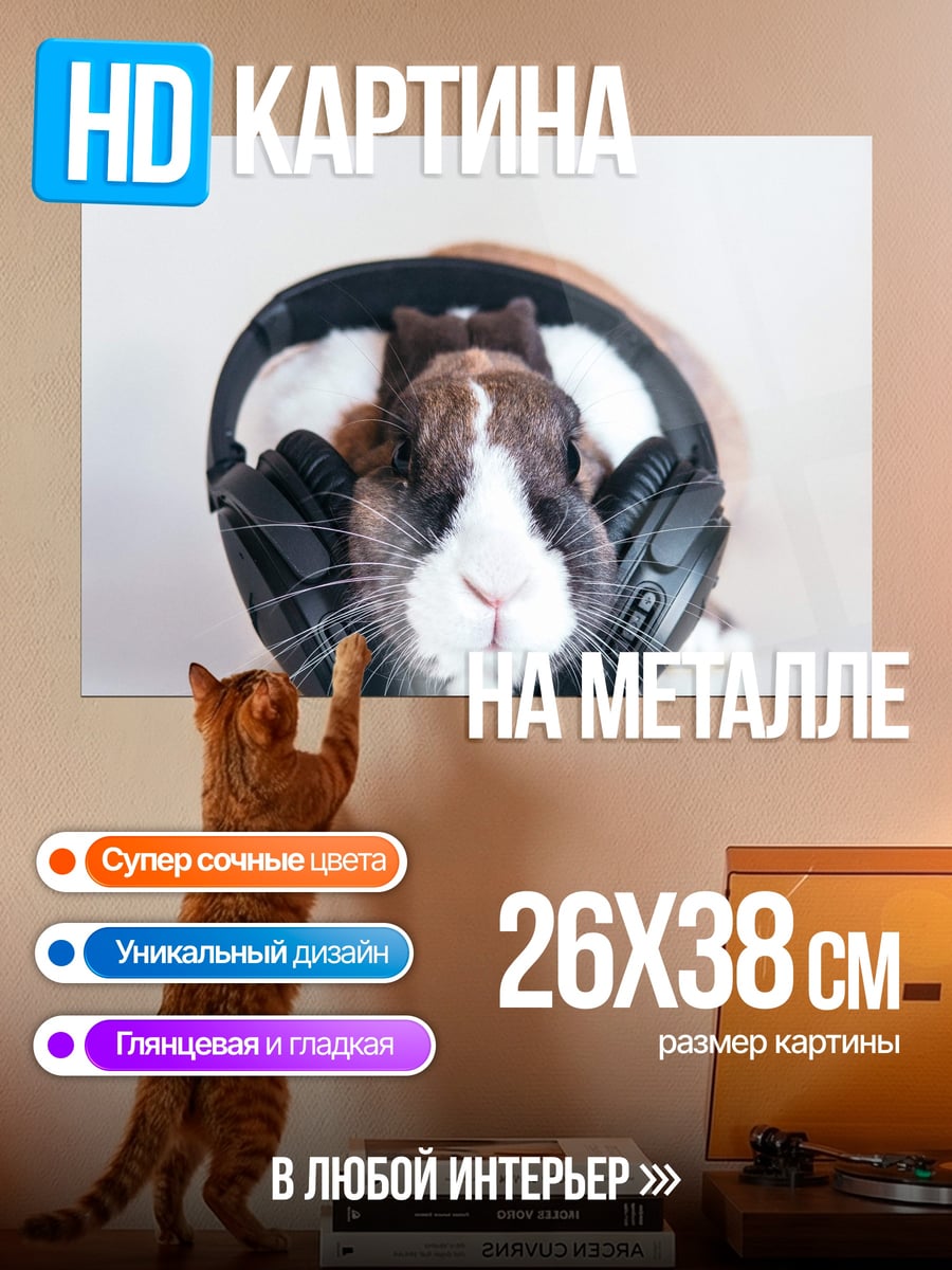 Картина на металле Морская свинка в наушниках