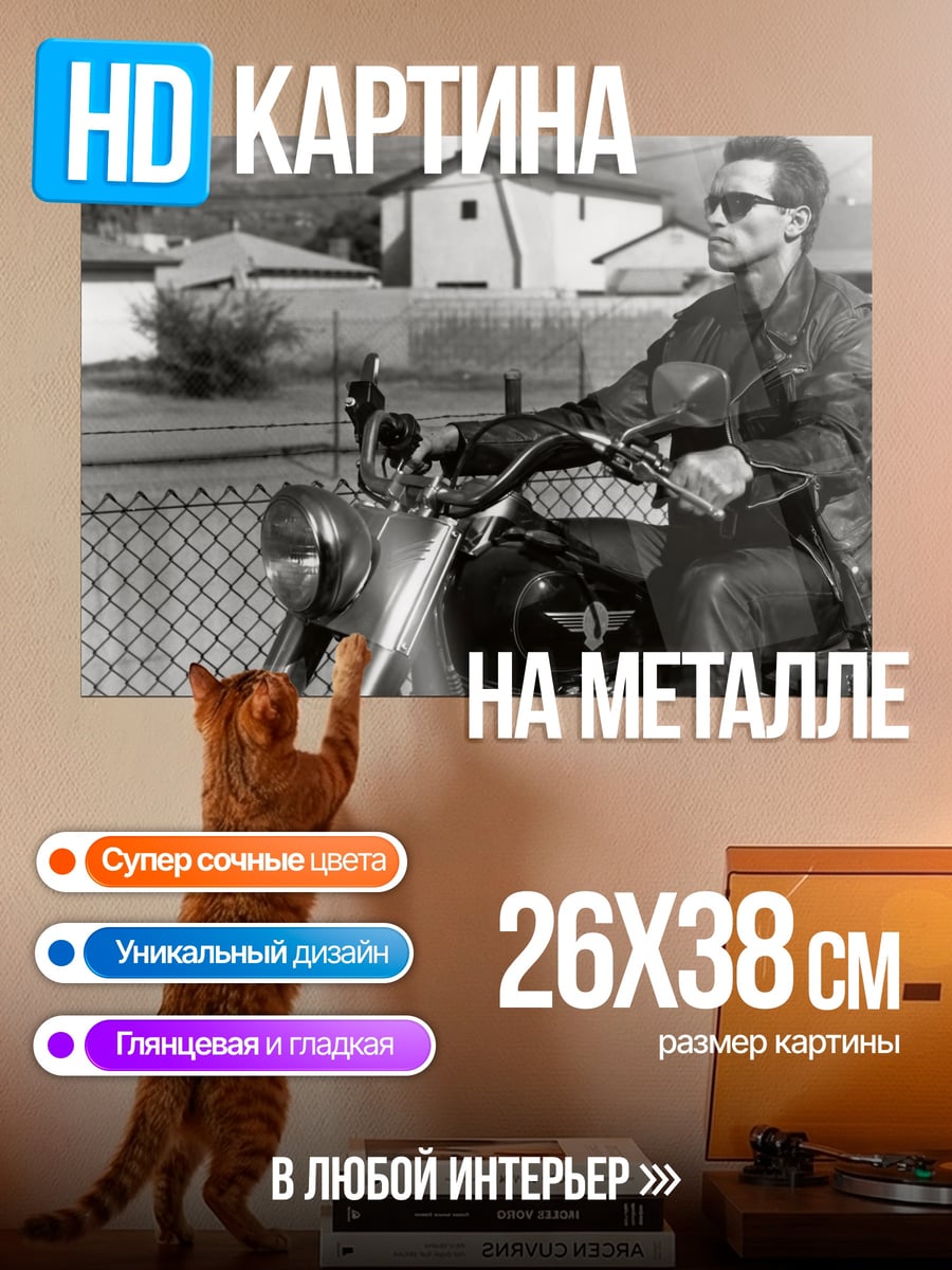 Картина на металле Терминатор на мотоцикле