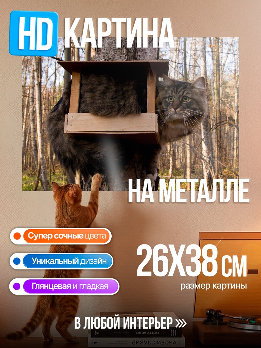 Картина на металле Кот в кормушке