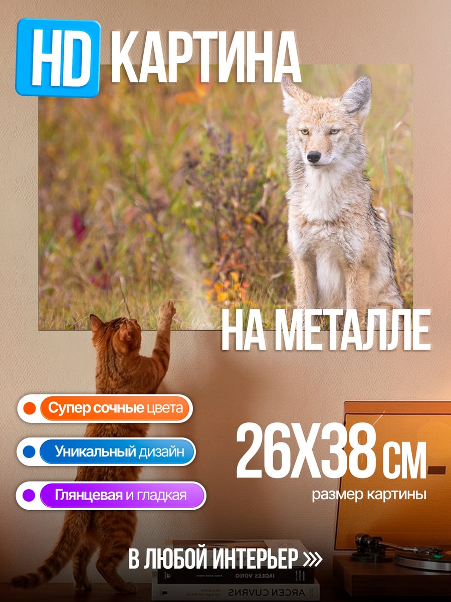 Картина на металле Лиса в осеннем поле