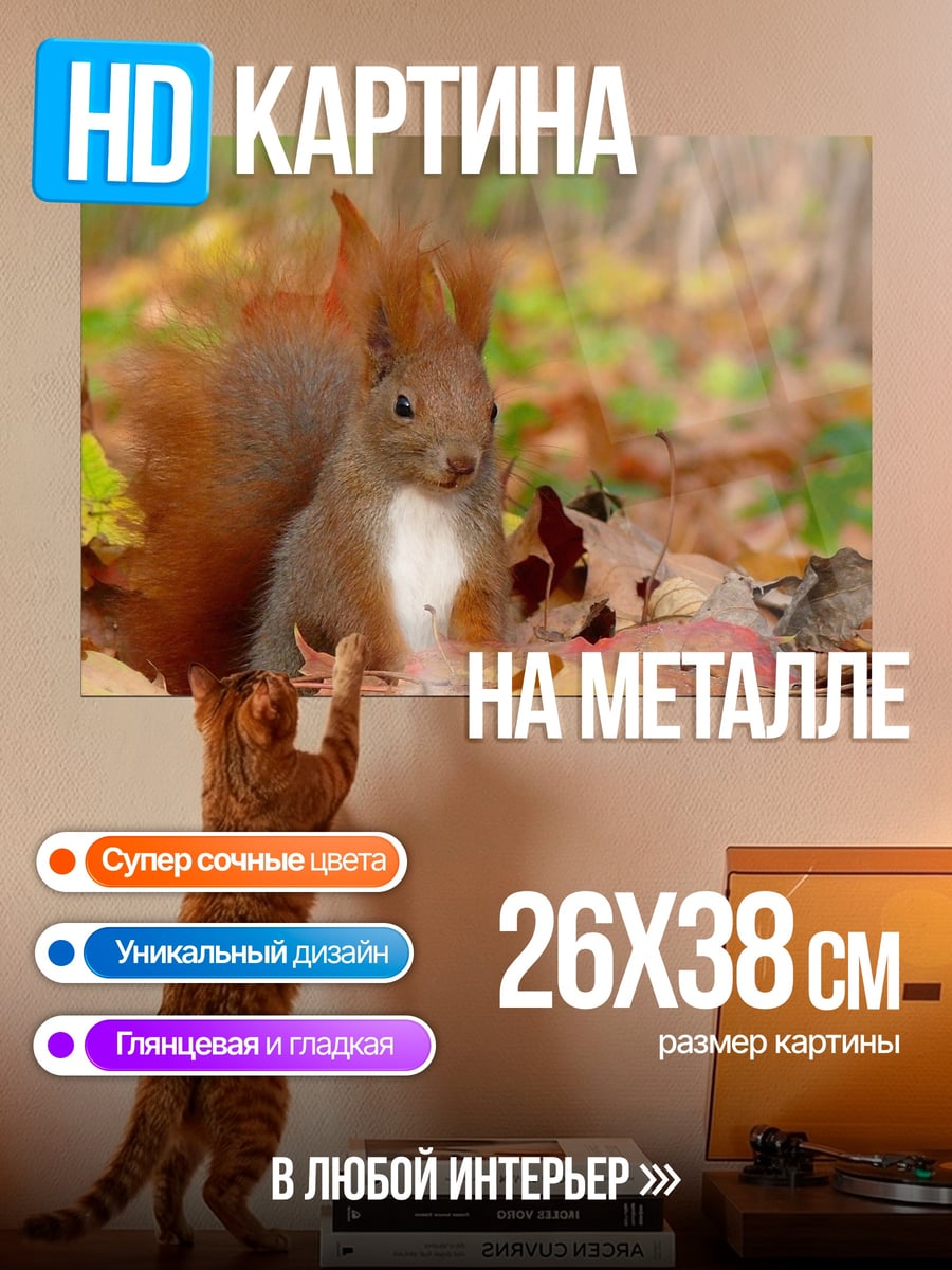 Картина на металле Рыжая белка осенью