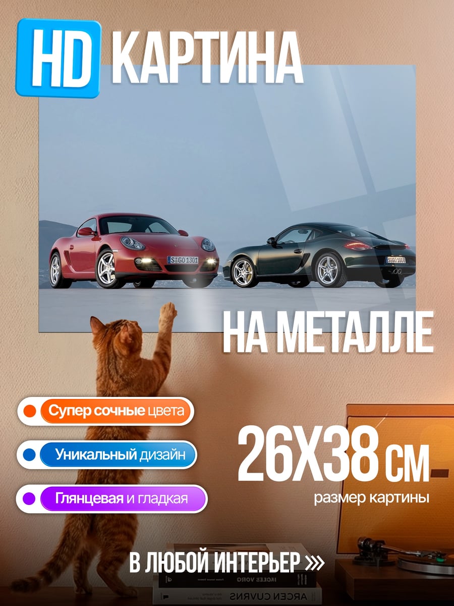 Картина на металле Два Porsche Cayman