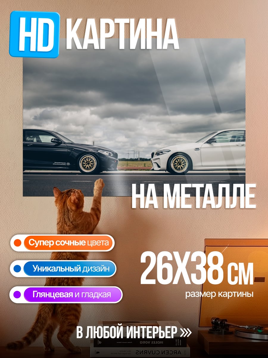 Картина на металле два автомобиля гонка