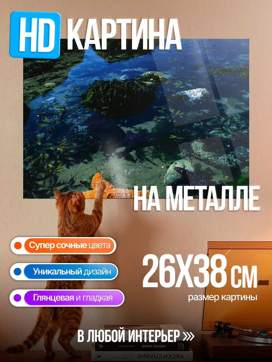 Картина на металле морские звезды