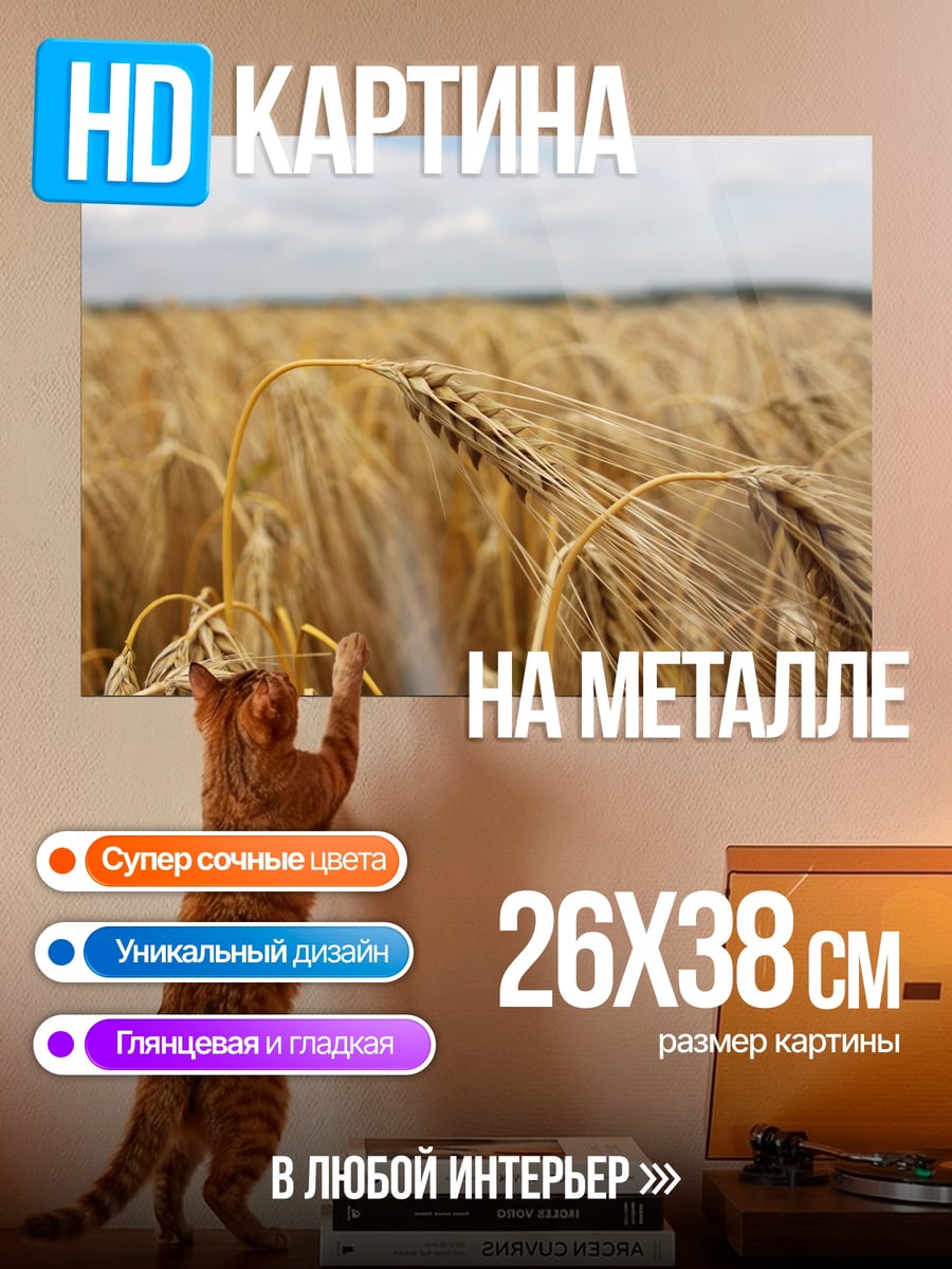 Картина на металле Колосья пшеницы на поле