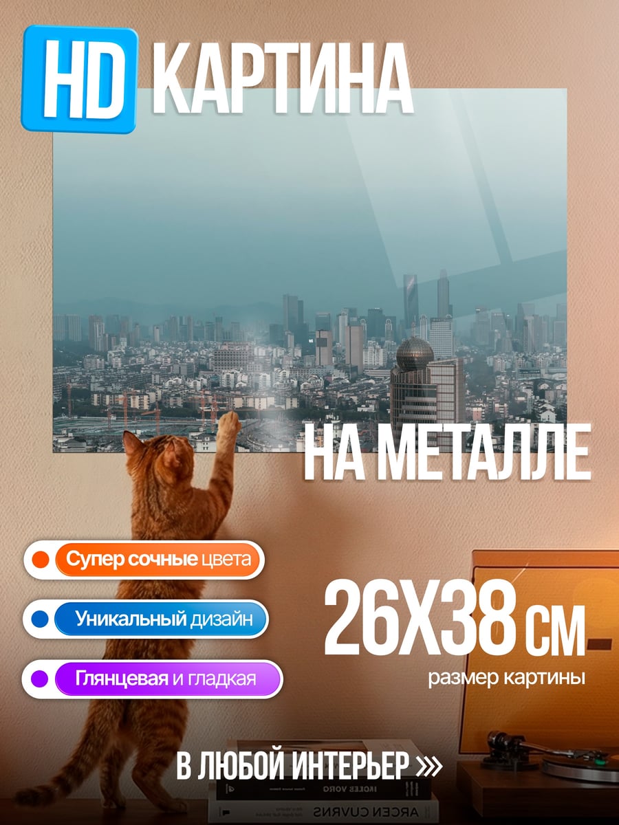 Картина на металле Городской пейзаж туман