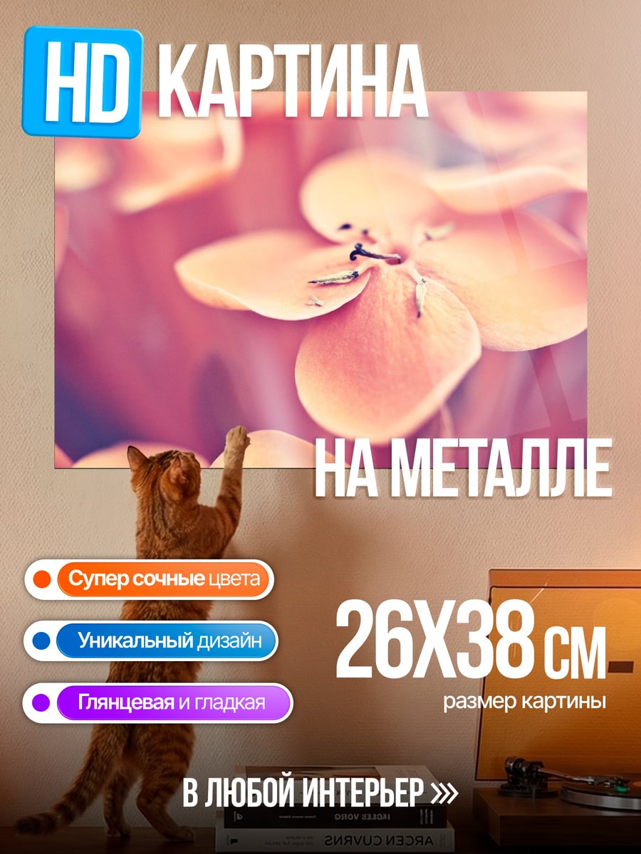Картина на металле Розовые цветы макро