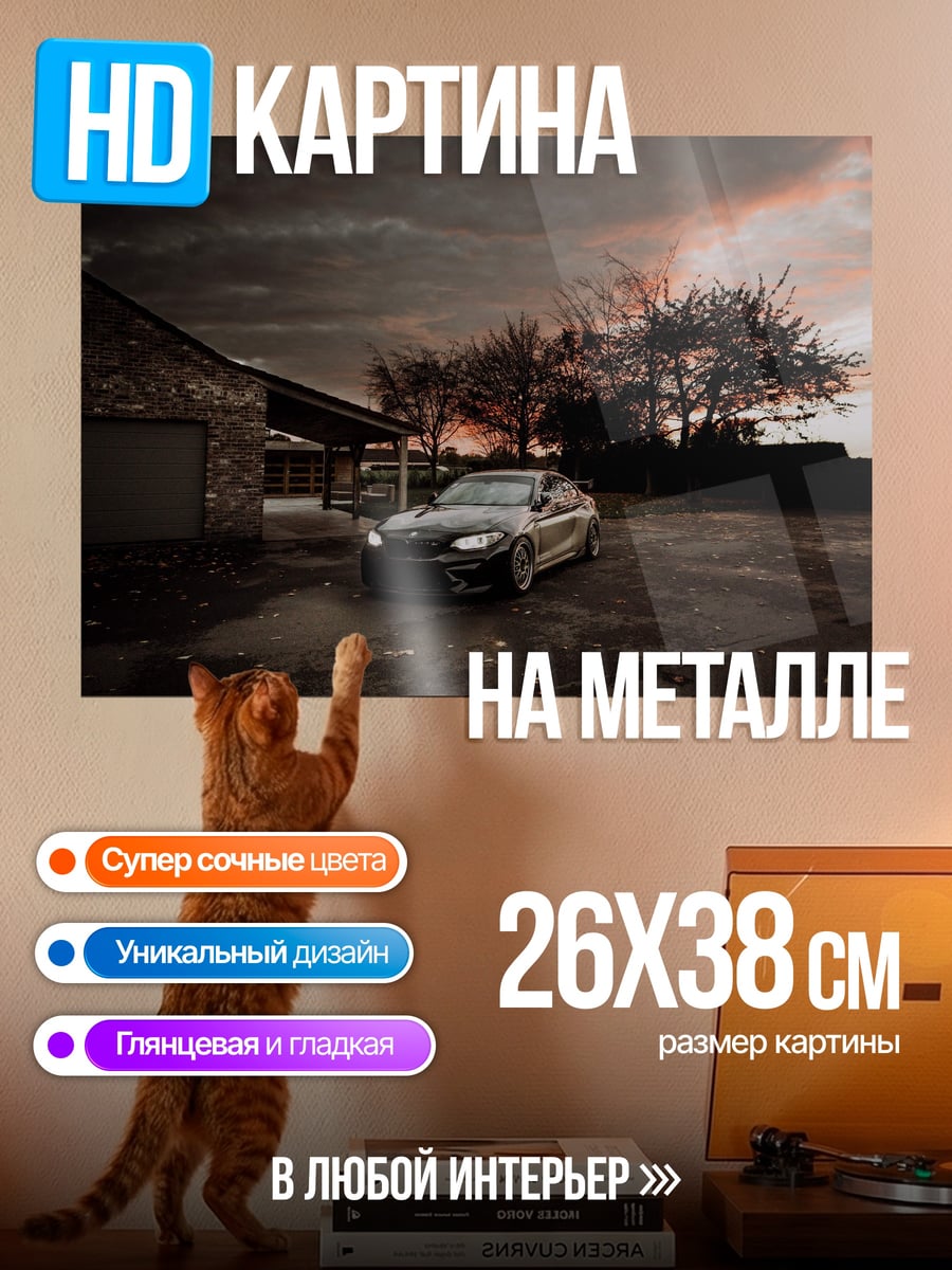 Картина на металле Черный автомобиль закат
