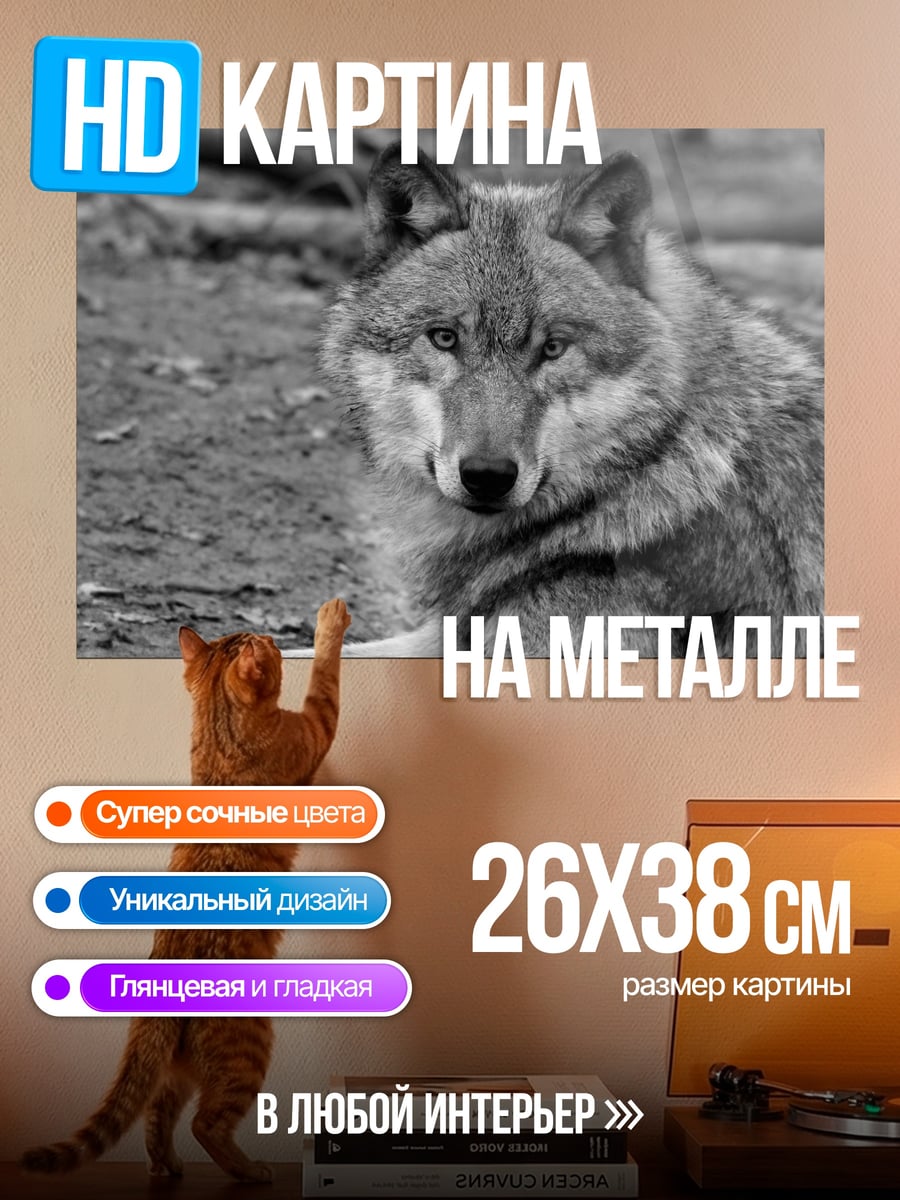 Картина на металле Портрет волка
