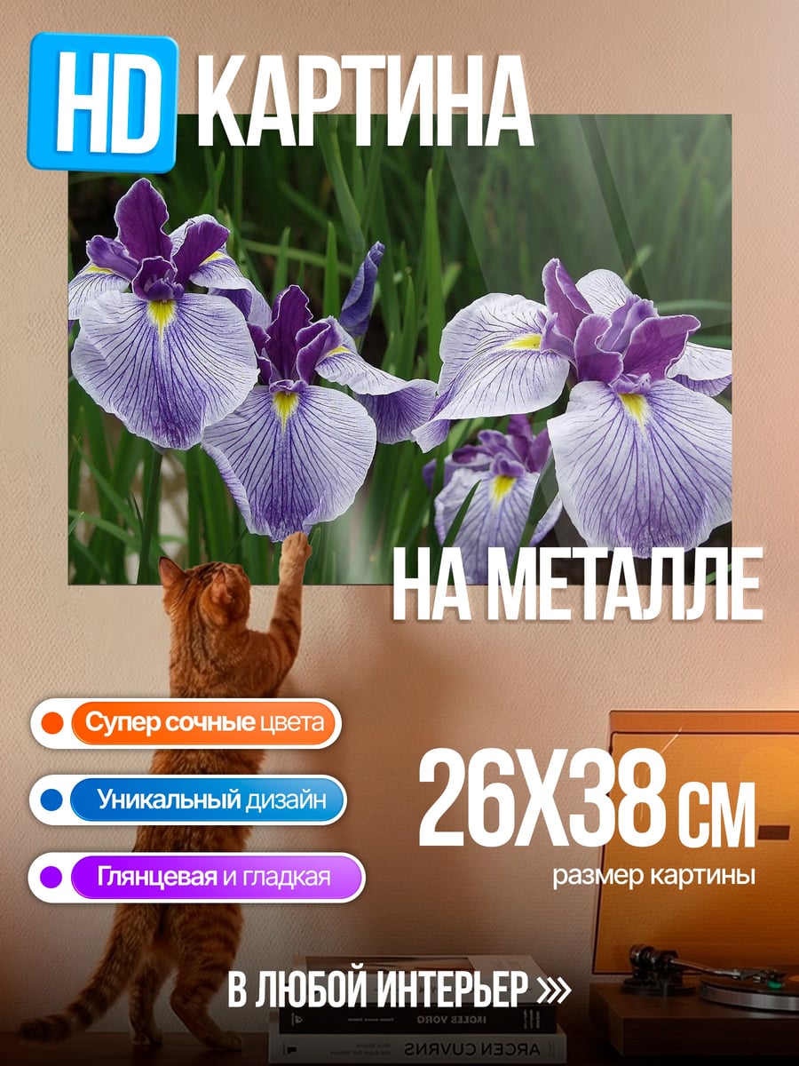 Картина на металле фиолетовые ирисы в траве