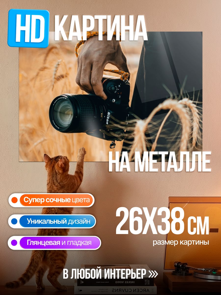 Картина на металле фотограф в поле
