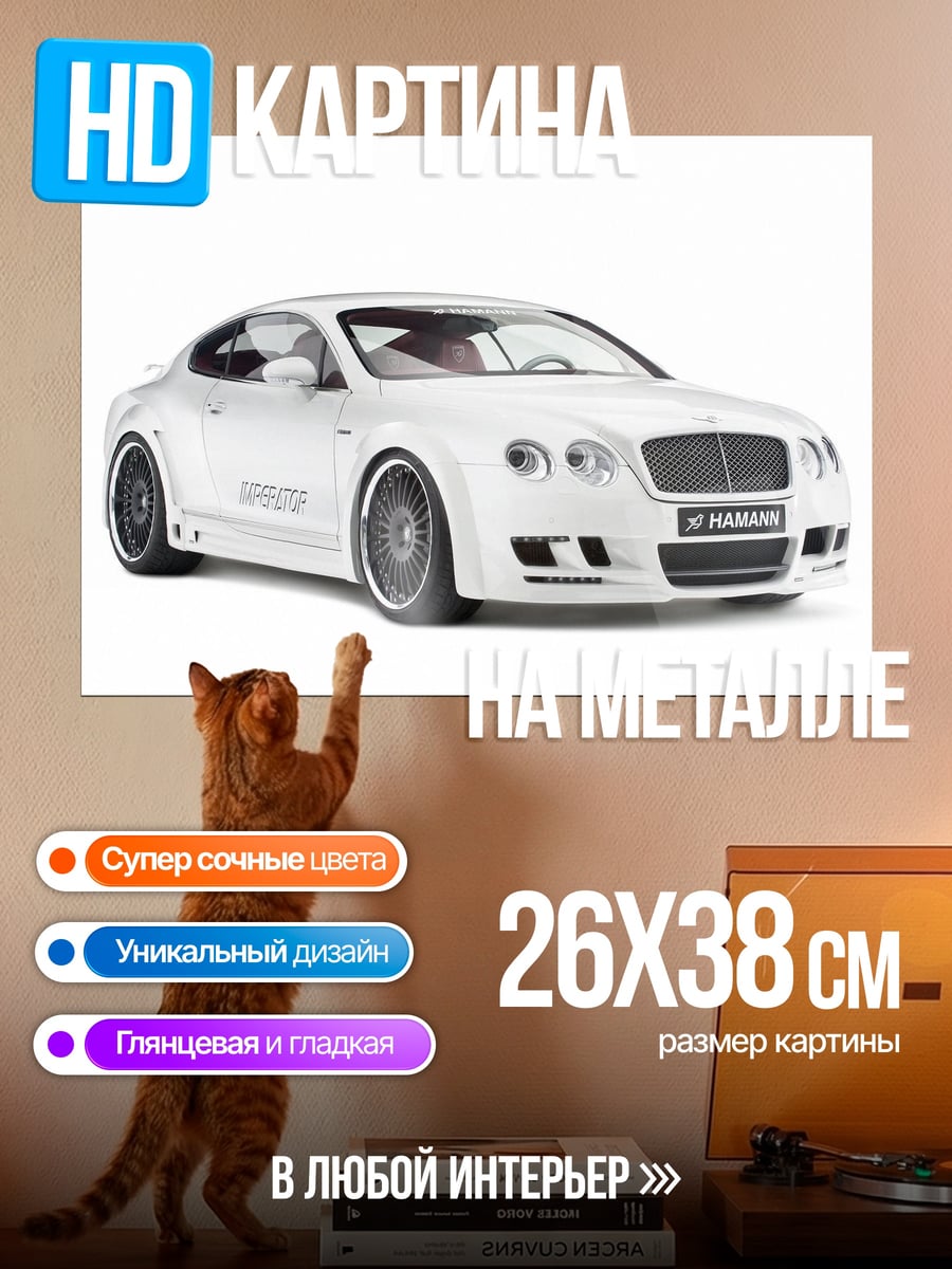 Картина на металле белый Bentley