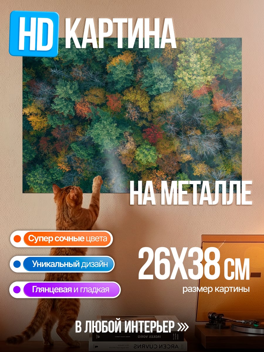 Картина на металле Осенний лес сверху