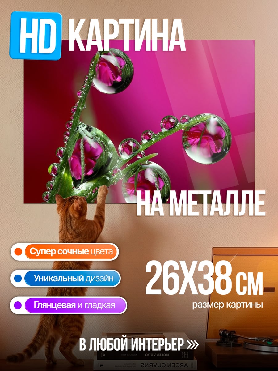 Картина на металле Капли росы